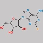 Fludarabine Phosphate EP Impurity E CAS#: 21679-14-1
