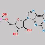 Fludarabine Phosphate EP Impurity I CAS#: 7561-54-8