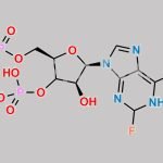 Fludarabine Phosphate Impurity 1 CAS#: N/A