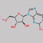 Fludarabine Phosphate Impurity 2 CAS#: N/A