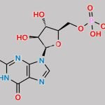 Fludarabine Phosphate Impurity 3 CAS#: N/A