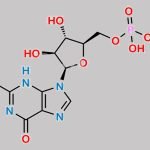 Fludarabine Phosphate Impurity 4 CAS#: N/A