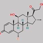 Fluocortolone Monohydrate CAS#: 910908-82-6