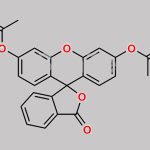 Fluorescein Diacetate CAS#: 596-09-8