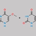 Fluorouracil Impurity Mixture CRS (Containing Impurities D and E) CAS#: N/A