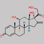 Fluprednidene CAS#: 2193-87-5