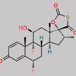 Fluticasone Related Compound B CAS#: 219719-95-6