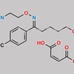 Fluvoxamine EP Impurity B (Maleate salt) CAS#: 917096-37-8