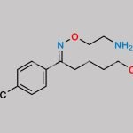 Fluvoxamine Maleate EP Impurity G CAS#: 192876-02-1