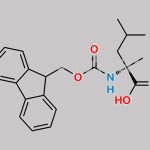 Fmoc-alphamethyl Leucine CAS#: 312624-65-0