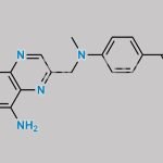 Folic Acid Impurity 25 CAS#: 56892-87-6