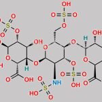 Fondaparinux Impurity 2 CAS#: 2088176-32-1