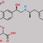 Formoterol Phenolic Glucuronide CAS#: 615551-59-2