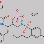 Fosamprenavir n-butyl Isomer CAS#: N/A