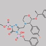 Fosaprepitant Impurity 15 CAS#: N/A