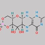 Fosdenopterin CAS#: 150829-29-1