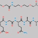 Fragment-[3-31]-Semaglutide CAS#: N/A