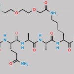 Fragment-[9-31]-Semaglutide CAS#: N/A