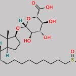 Fulvestrant-17-Glucuronide CAS#: 261506-28-9