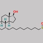 Fulvestrant-3-Sulfate CAS#: 261506-26-7