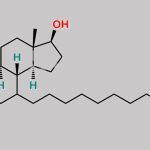 Fulvestrant Impurity 24 CAS#: N/A