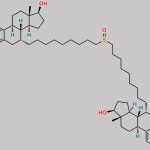 Fulvestrant Impurity 5 CAS#: N/A
