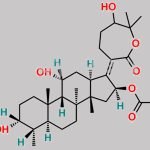 Fusidic Acid EP Impurity B CAS#: N/A