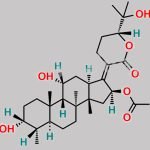Fusidic Acid EP Impurity C CAS#: N/A