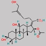Fusidic Acid EP Impurity E CAS#: 2802408-15-5