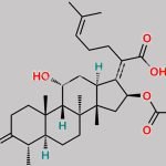 Fusidic Acid EP Impurity G CAS#: 4680-37-9