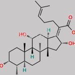 Fusidic Acid EP Impurity I CAS#: 5951-83-7