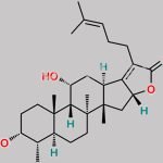 Fusidic Acid EP Impurity J CAS#: 13011-12-6