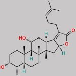 Fusidic Acid EP Impurity K CAS#: 4701-54-6
