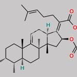 Fusidic Acid EP Impurity L CAS#: 74048-41-2