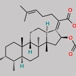 Fusidic Acid EP Impurity M CAS#: 1013937-16-0
