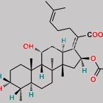 Fusidic Acid CAS#: 6990-06-3
