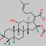 Fusidic Acid Sodium Salt CAS#: 751-94-0