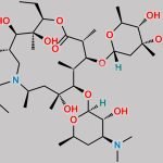 Gamithromycin CAS#: 145435-72-9