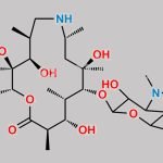 Gamithromycin Impurity 1 CAS#: N/A