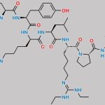 Ganirelix Impurity 1 CAS#: 129225-23-6