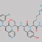 Ganirelix Impurity 3 CAS#: N/A
