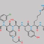 Ganirelix Impurity 4 CAS#: N/A