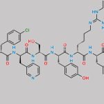 Ganirelix Impurity 5 CAS#: N/A