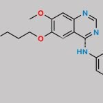 Gefitinib CAS#: 184475-35-2