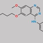 Gefitinib EP Impurity B CAS#: 1603814-04-5