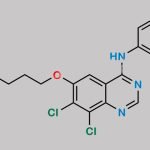 Gefitinib Impurity 11 CAS#: N/A