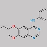Gefitinib Impurity 28 CAS#: 912556-91-3