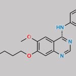 Gefitinib Impurity 29 CAS#: 578737-96-9