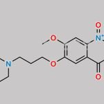 Gefitinib Impurity 31 CAS#: 214472-37-4