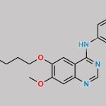 Gefitinib Impurity 5 CAS#: 909863-33-8